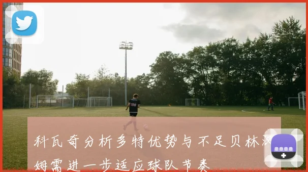 科瓦奇分析多特优势与不足贝林汉姆需进一步适应球队节奏