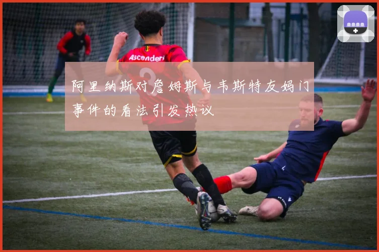 阿里纳斯对詹姆斯与韦斯特友妈门事件的看法引发热议