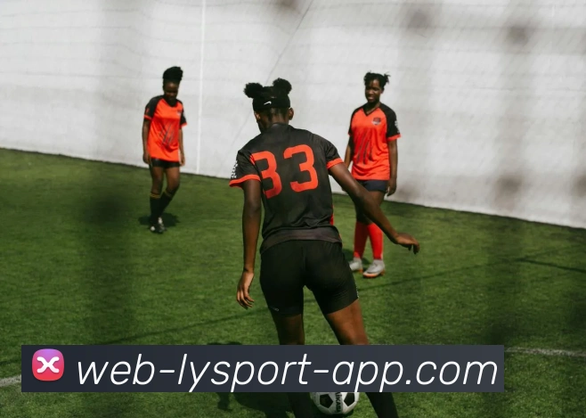 多媒体互动体验