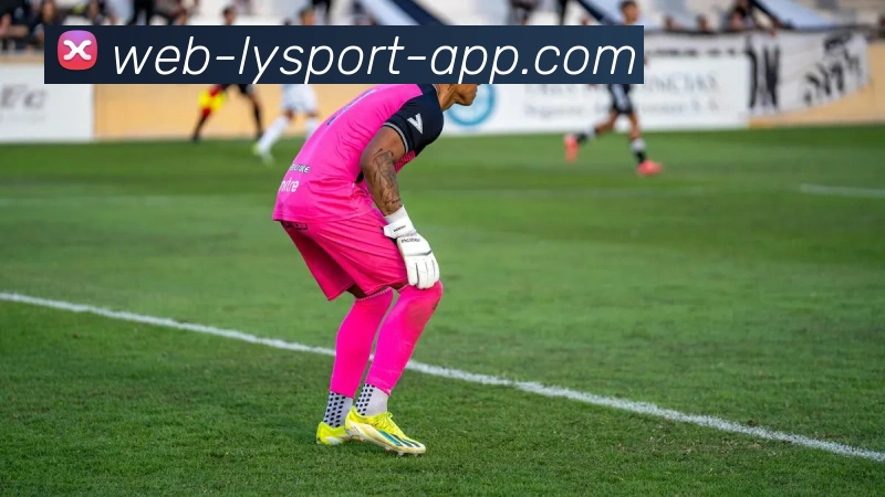 乐鱼体育APP 体育赛事宣传图